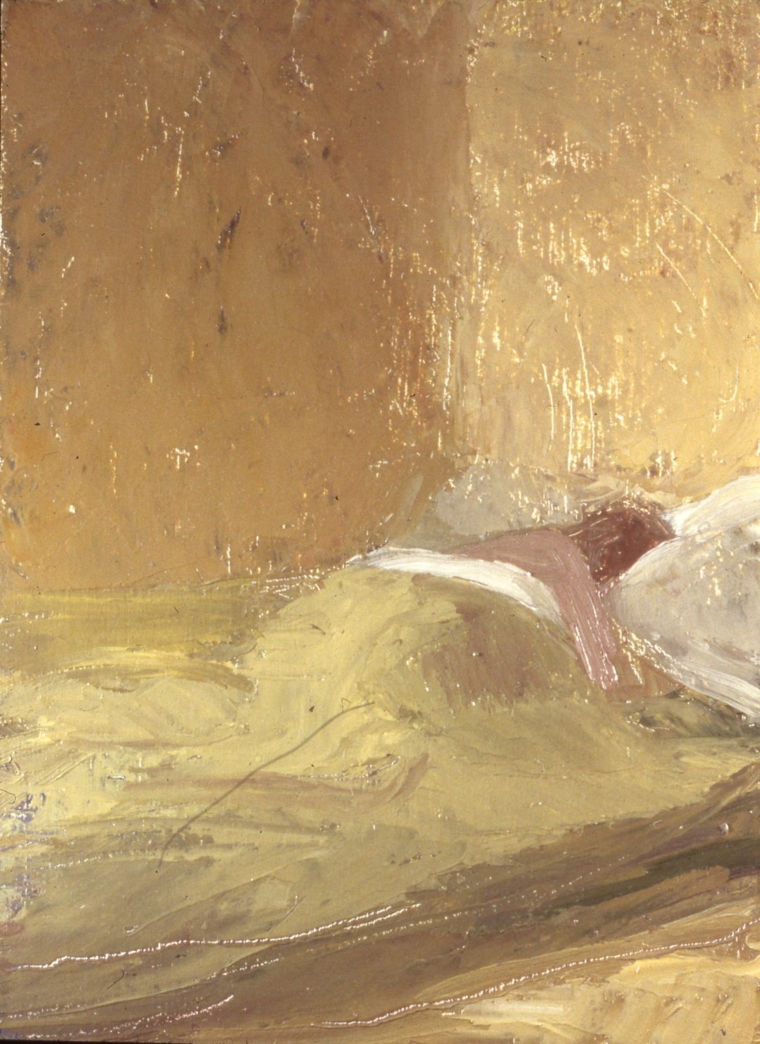 Lisa Yuskavage’s Fantastical Landscapes at the Aspen Art Museum