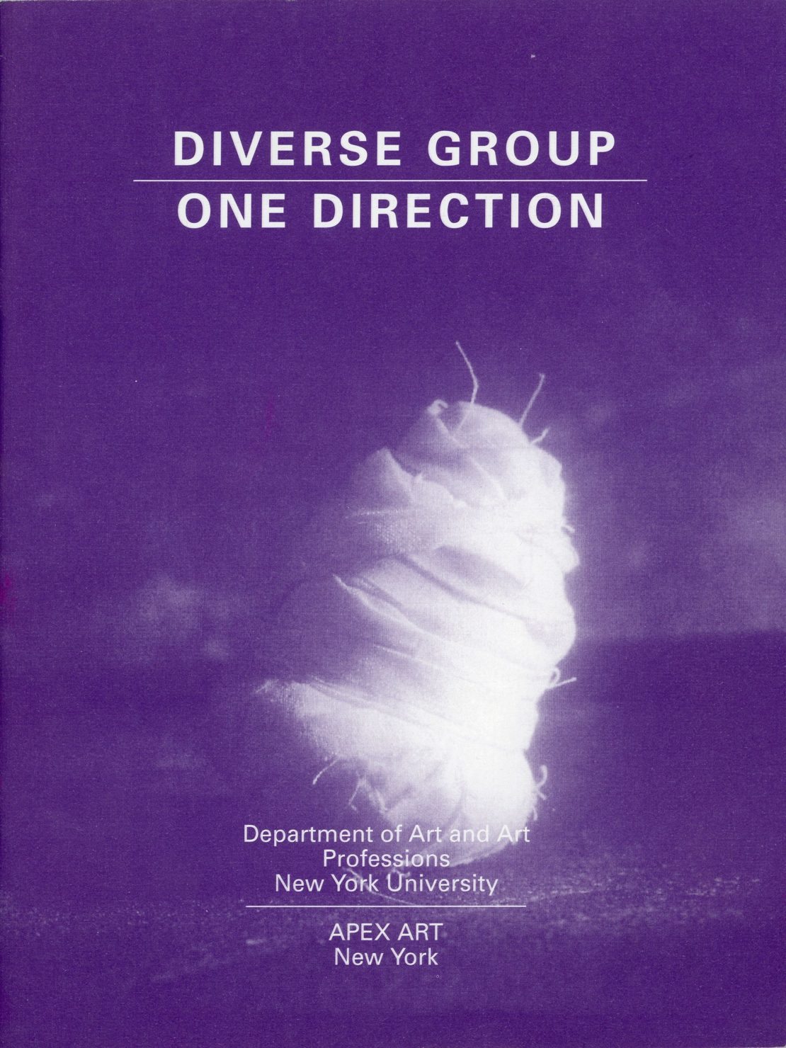 Diverse Group: One Direction